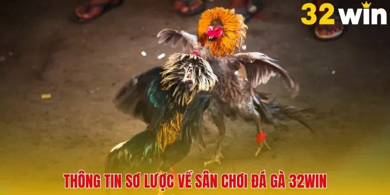 Đôi nét cơ bản về sân chơi đá gà 32Win