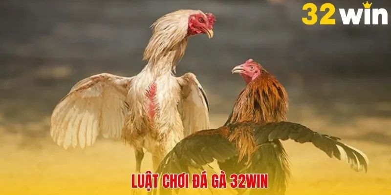 Luật chơi cá cược đá gà tại 32Win
